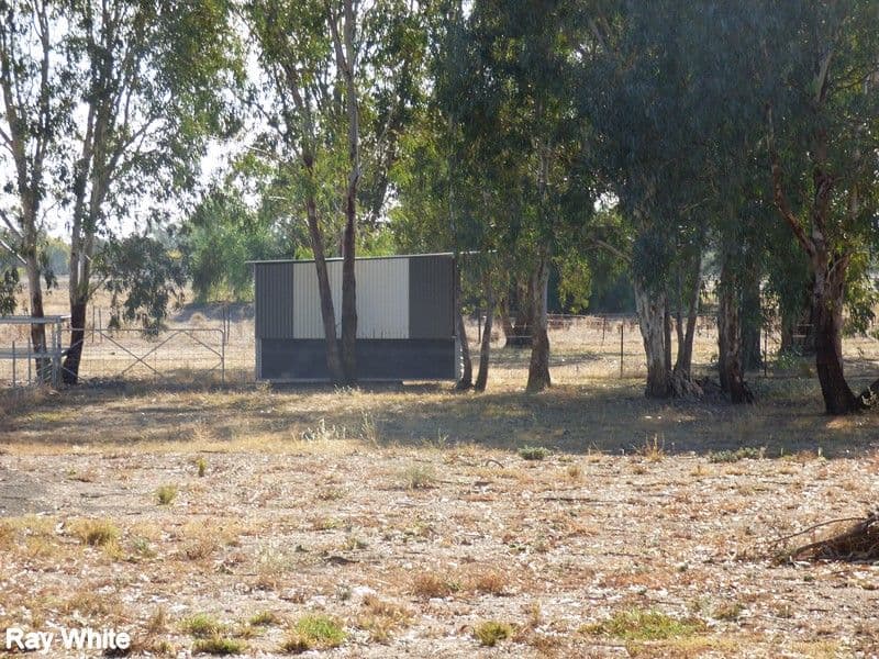 47 Show Street, Forbes NSW 2871, Forbes - Thumbnail 2