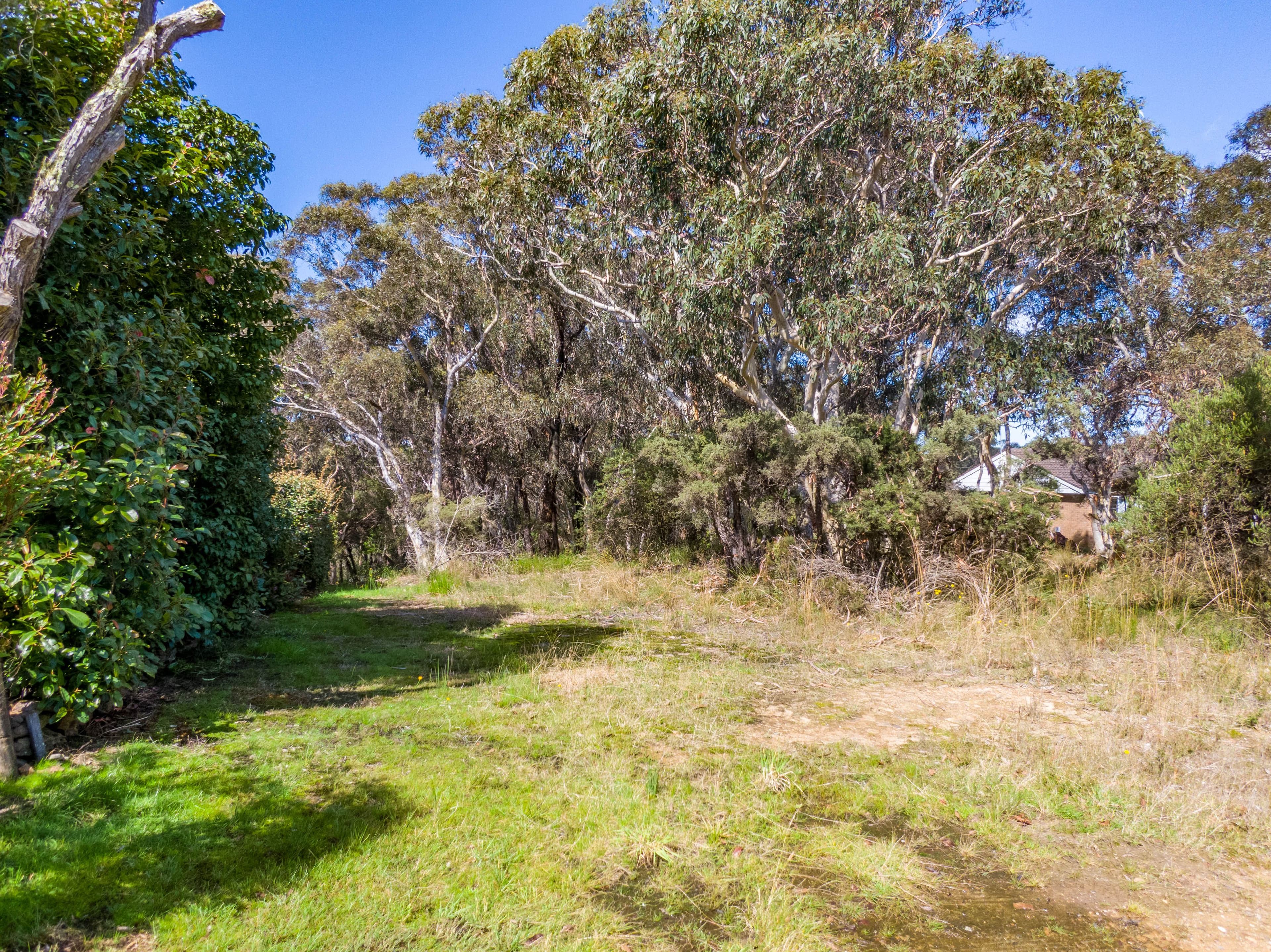 96 Shipley Road, Blackheath NSW 2785, Blackheath - Thumbnail 6