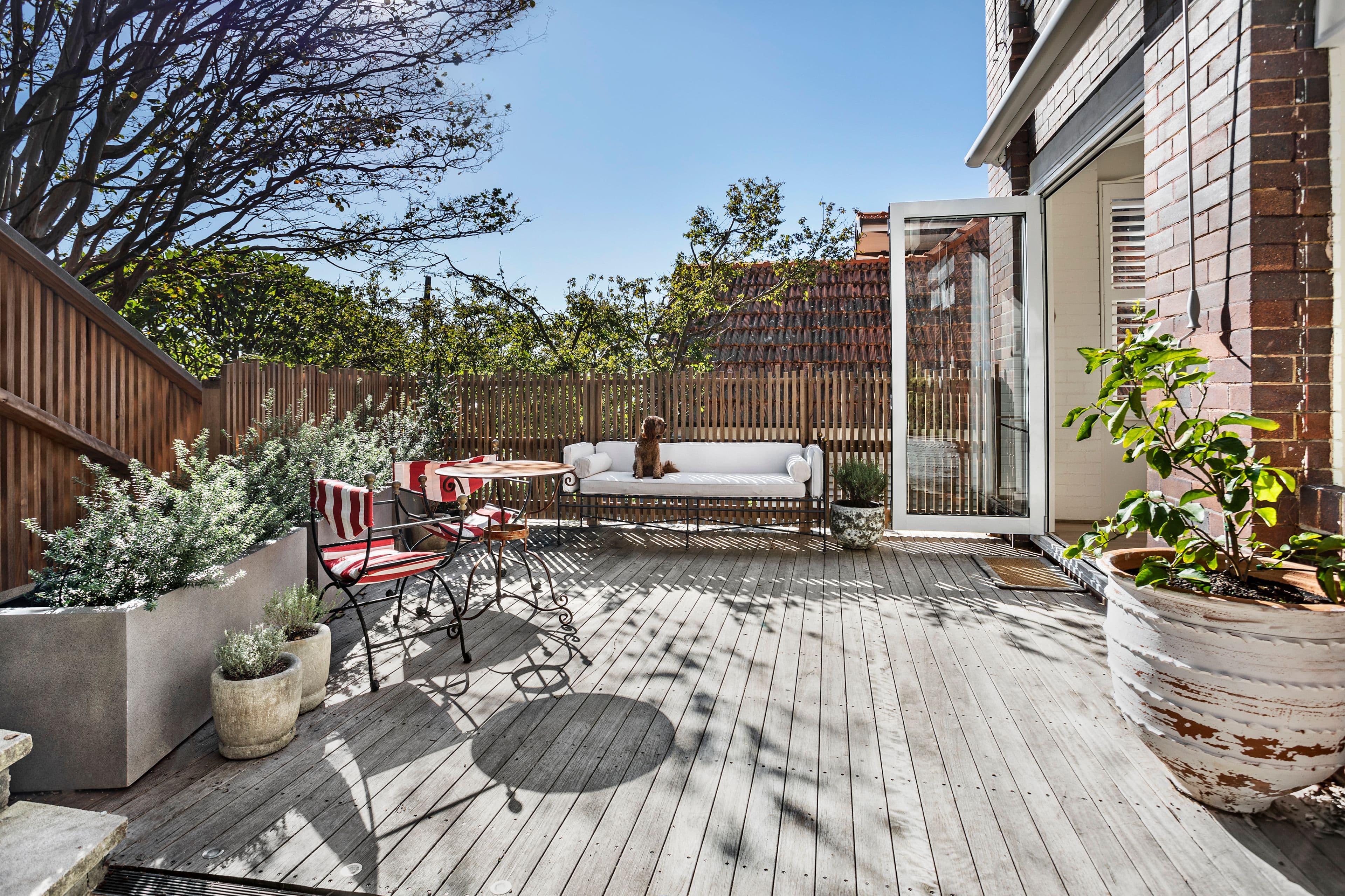 58 Almora Street, Mosman NSW 2088, Mosman - Thumbnail 2
