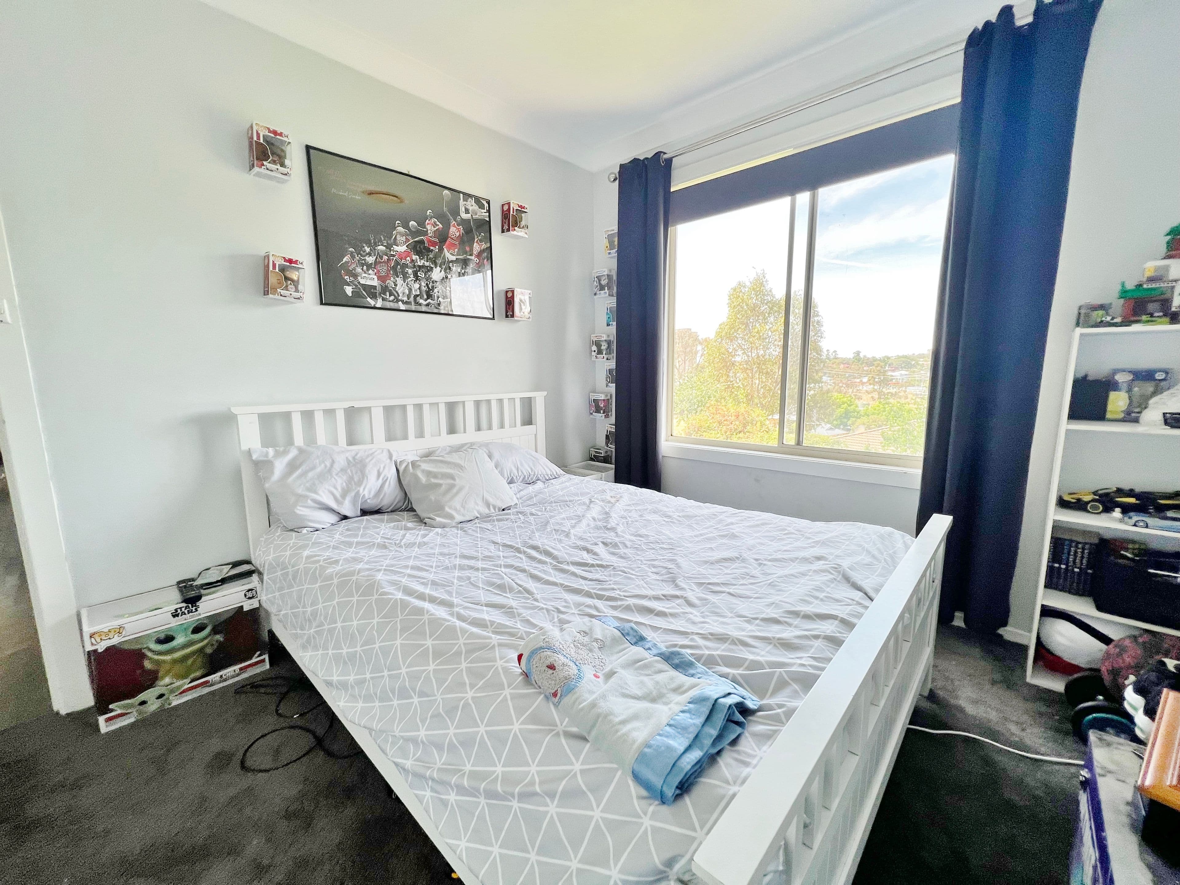 110 Edwards Street, Young NSW 2594, Young - Thumbnail 8