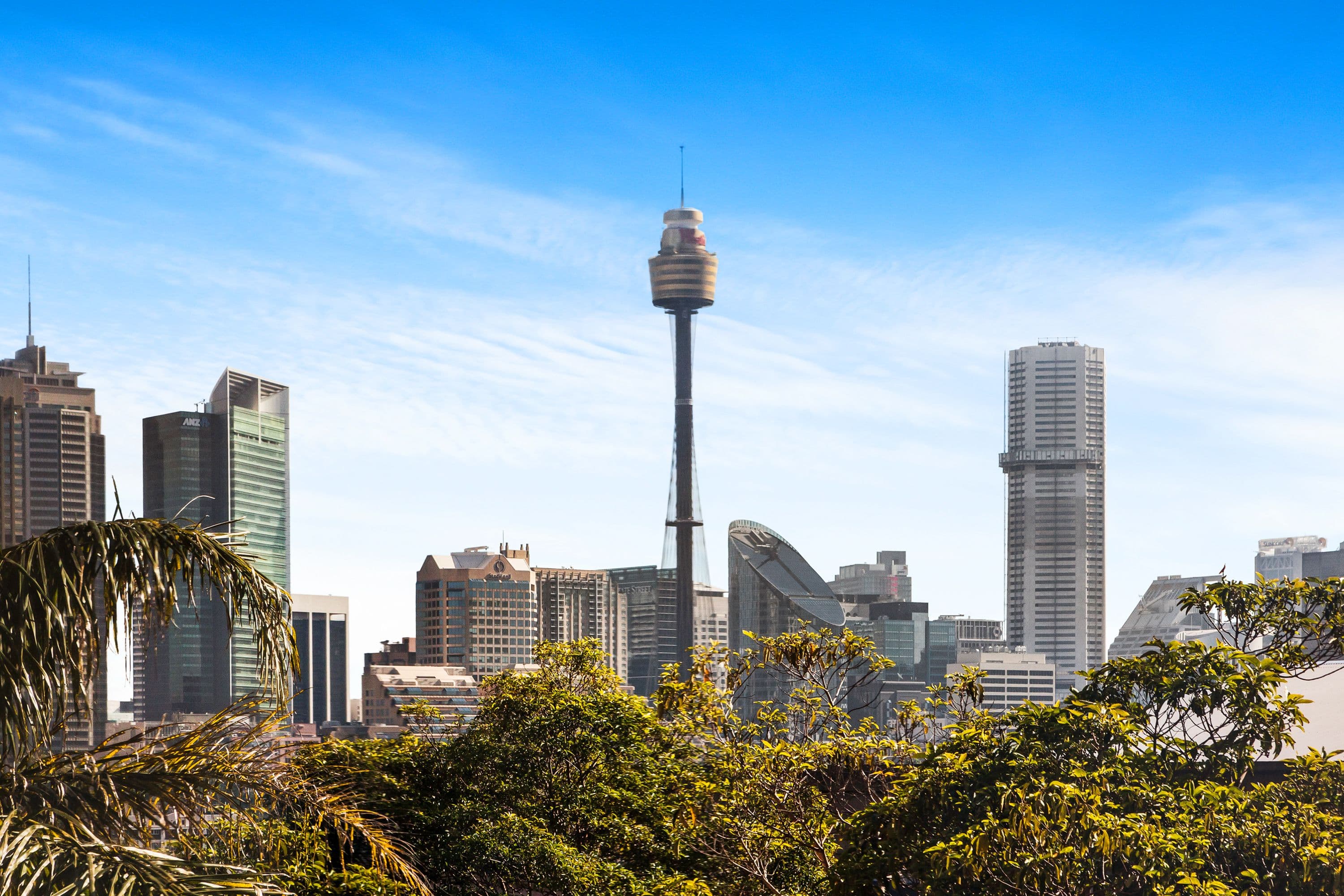 349 Liverpool Street, Darlinghurst NSW 2010, Darlinghurst - Thumbnail 4