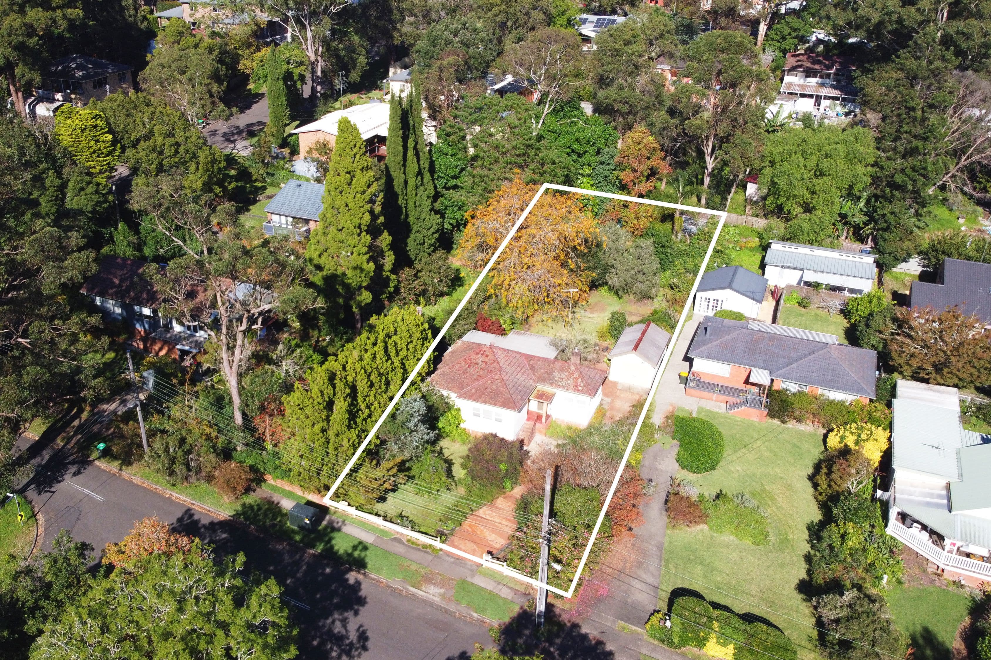 23 Eddy Street, Thornleigh NSW 2120, Thornleigh - Thumbnail 5