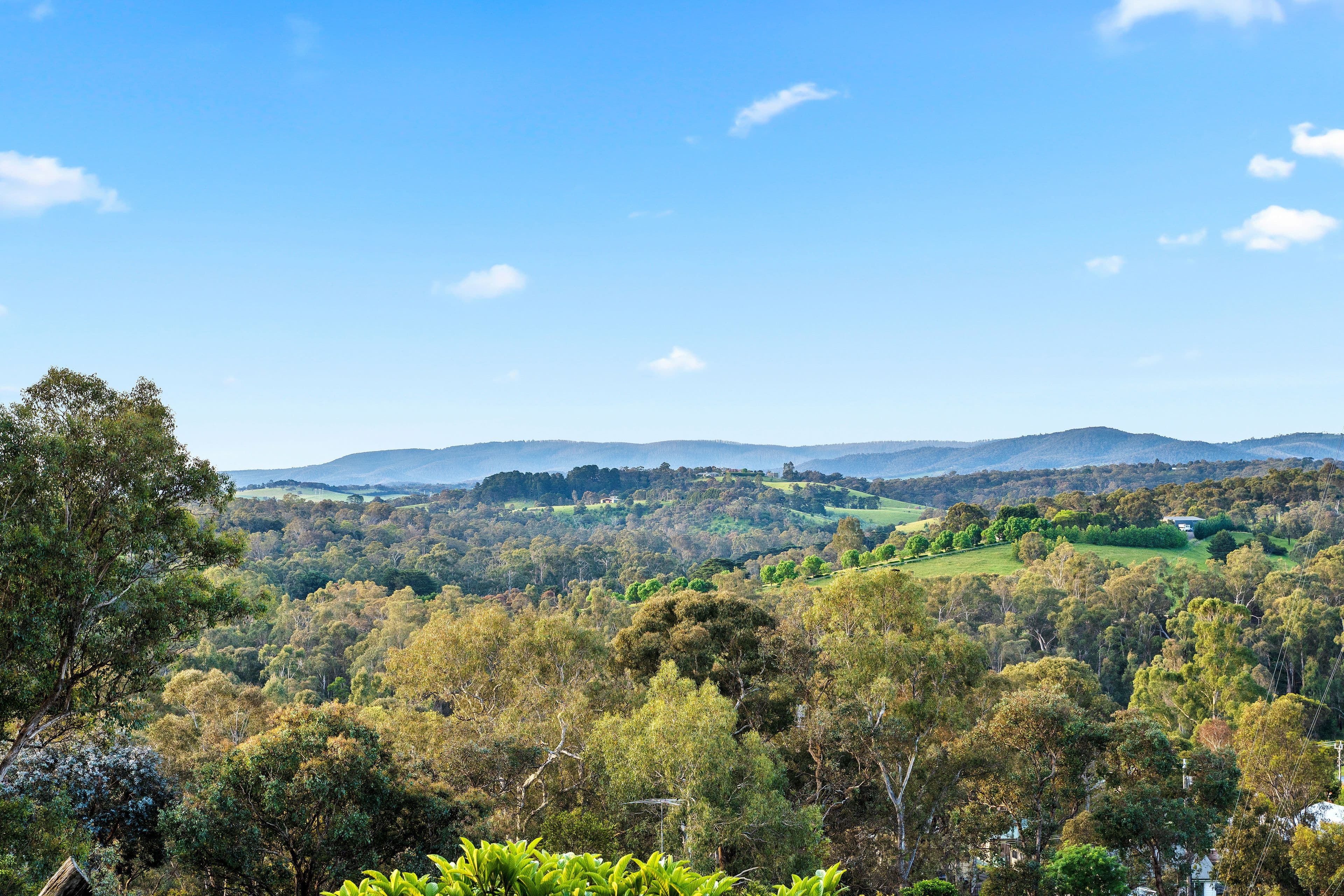 35 Taylor Road, Hurstbridge VIC 3099, Hurstbridge - Thumbnail 3