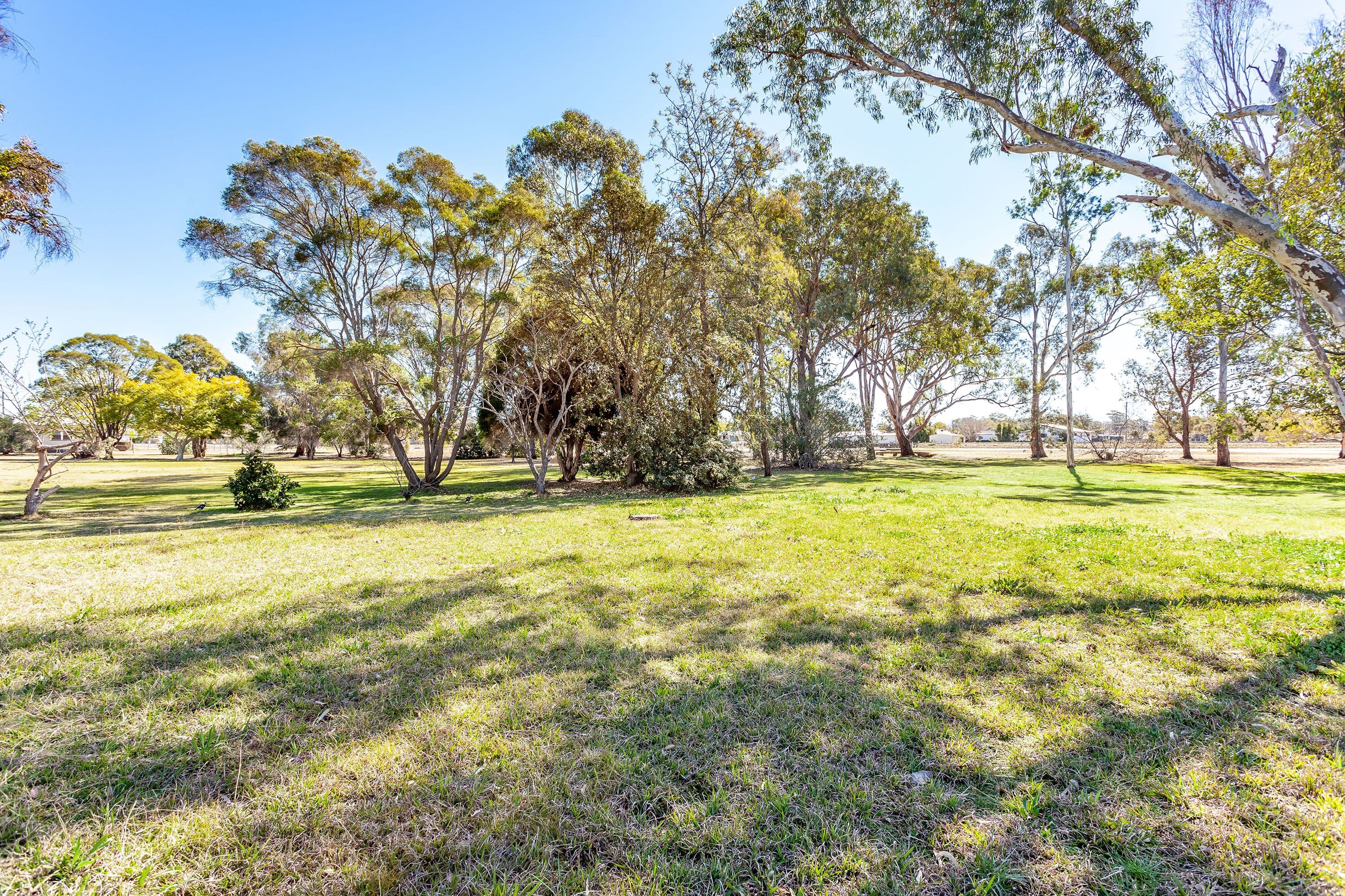 Lot 2 Steele Street, Pittsworth QLD 4356, Pittsworth - Thumbnail 4