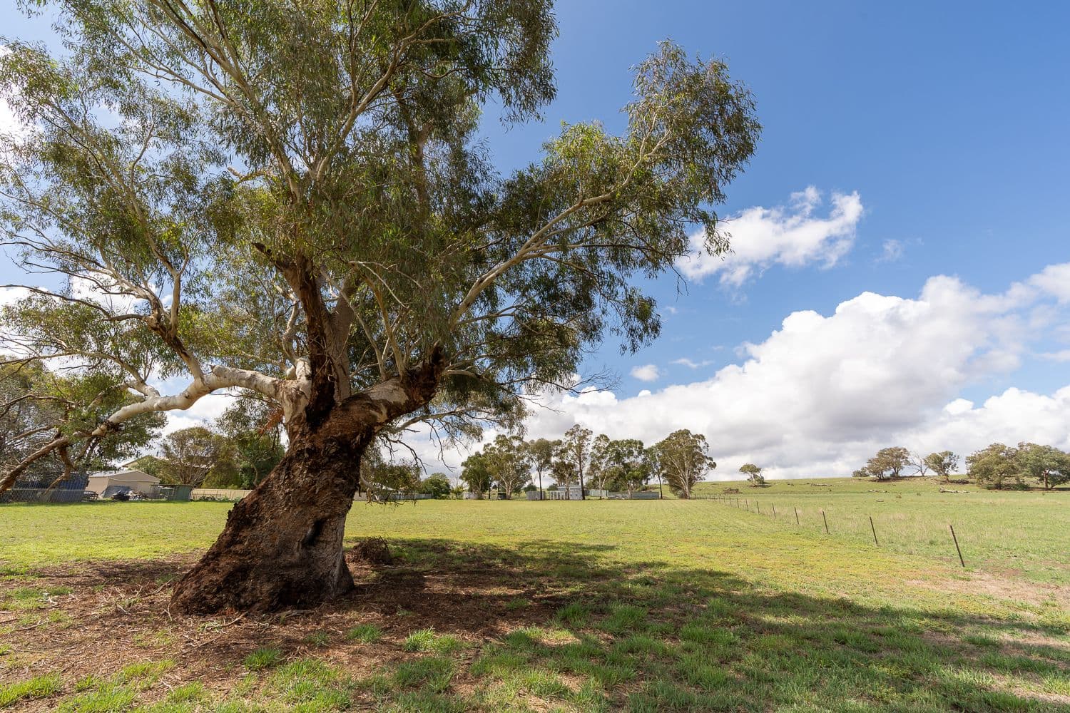 Lot 5 Boundary Street, Cudal NSW 2864, Cudal - Thumbnail 2