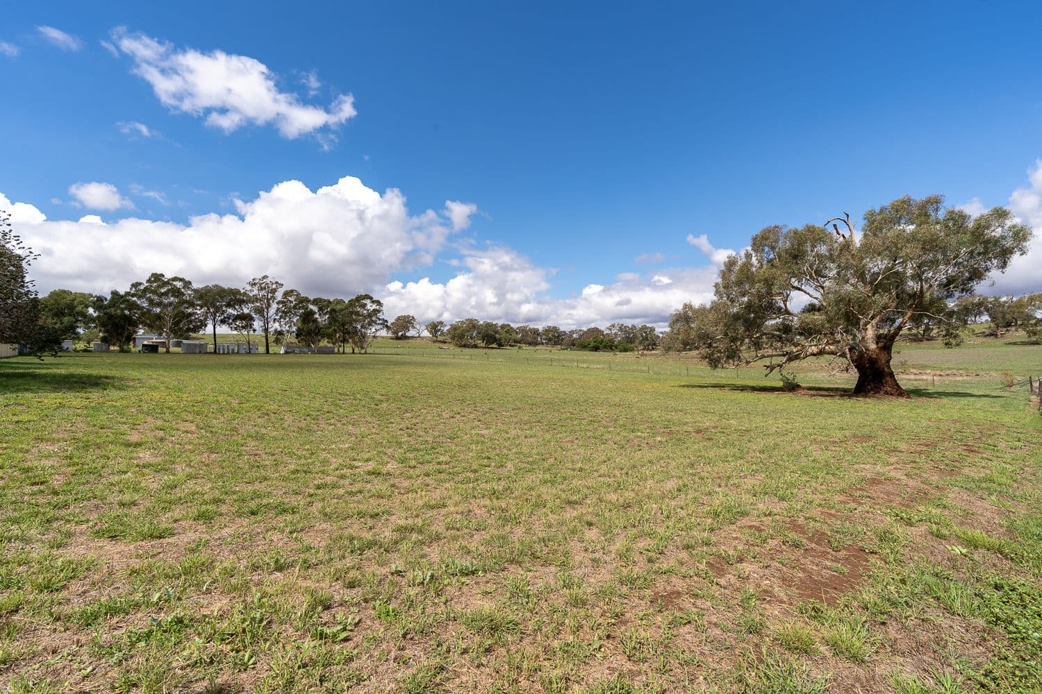 Lot 5 Boundary Street, Cudal NSW 2864, Cudal - Thumbnail 6