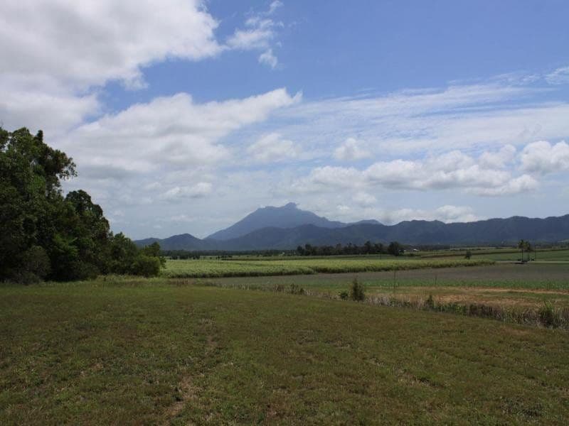 Lot 1 Dagmar Close, LOWER DAINTREE QLD 4873, Lower Daintree - Thumbnail 2
