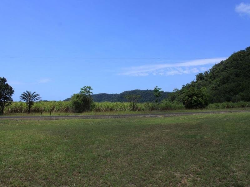Lot 1 Dagmar Close, LOWER DAINTREE QLD 4873, Lower Daintree - Thumbnail 6