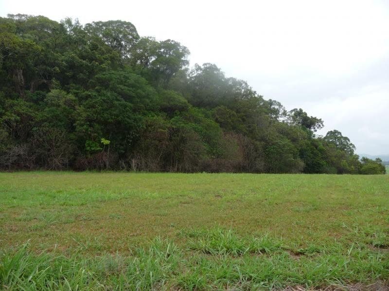 Lot 1 Dagmar Close, LOWER DAINTREE QLD 4873, Lower Daintree - Thumbnail 7