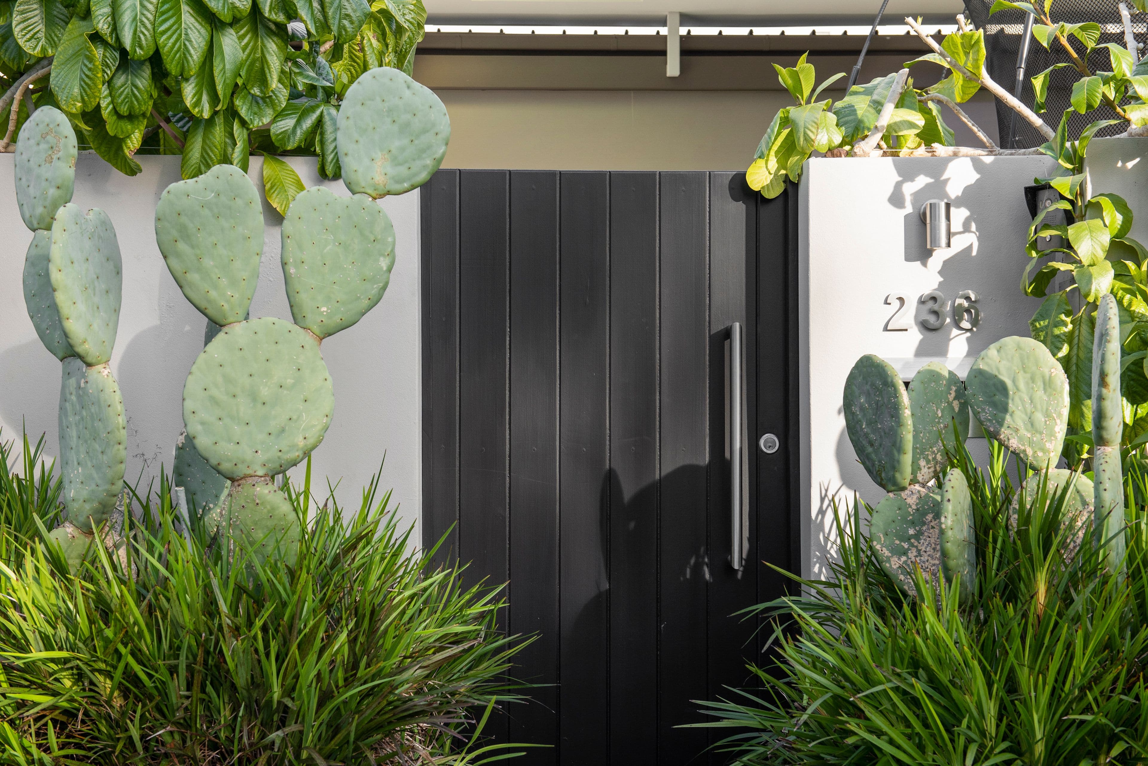 236 Edinburgh Road, Castlecrag NSW 2068, Castlecrag - Thumbnail 3