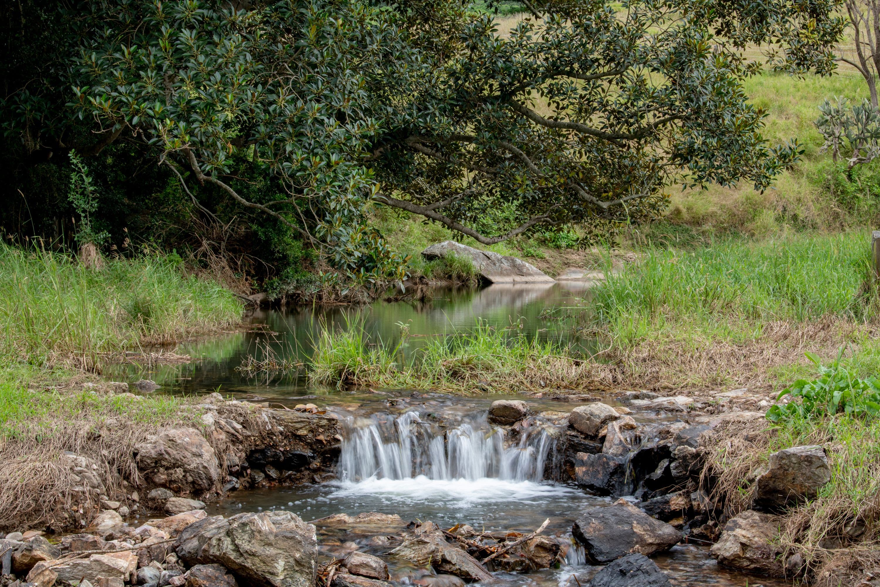 7 Costelloe Road, Laceys Creek QLD 4521, Laceys Creek - Thumbnail 2