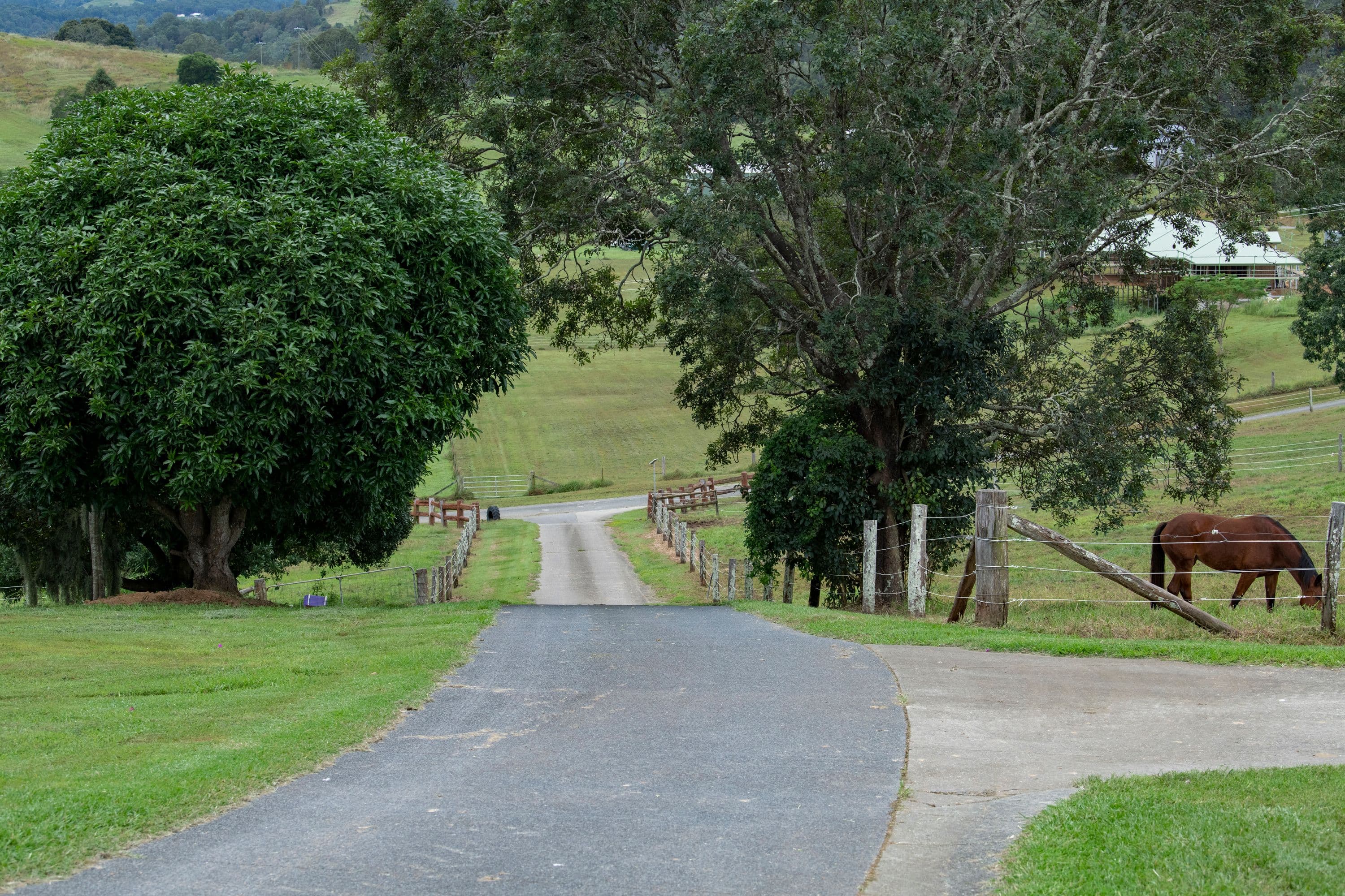 7 Costelloe Road, Laceys Creek QLD 4521, Laceys Creek - Thumbnail 5