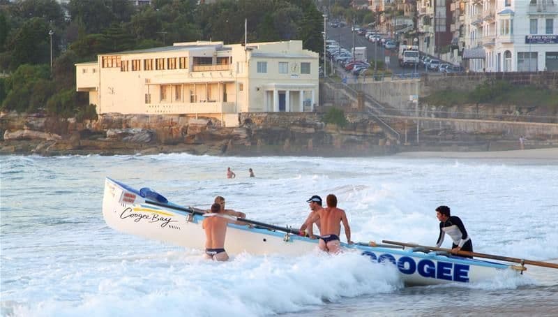 124 Brook Street, COOGEE NSW 2034, Coogee - Thumbnail 5