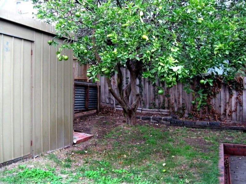 16 Ellt Crescent, NOBLE PARK VIC 3174, Noble Park - Thumbnail 6