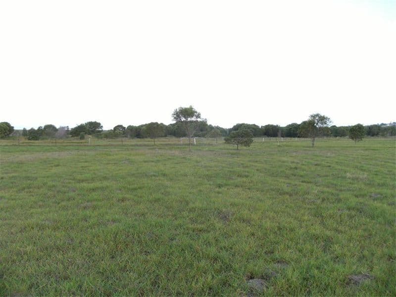 30 Poulton Terrace, Campbelltown, NSW, 2560, Campbelltown - Thumbnail 7