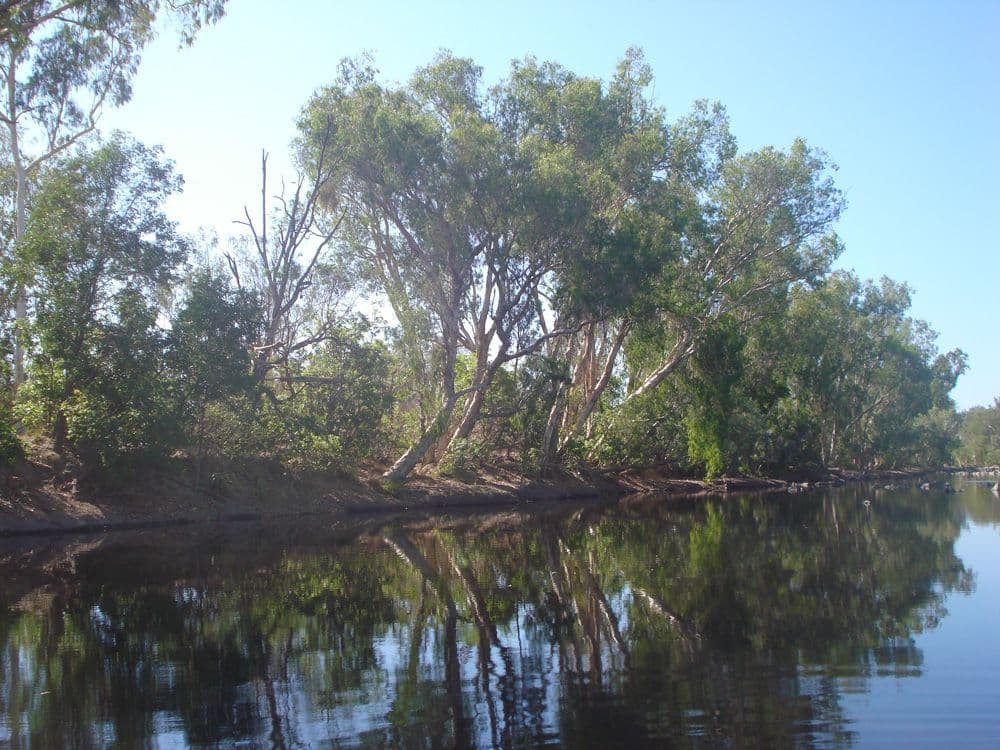 MOUNT CARBINE QLD 4871, Mount Carbine - Thumbnail 6