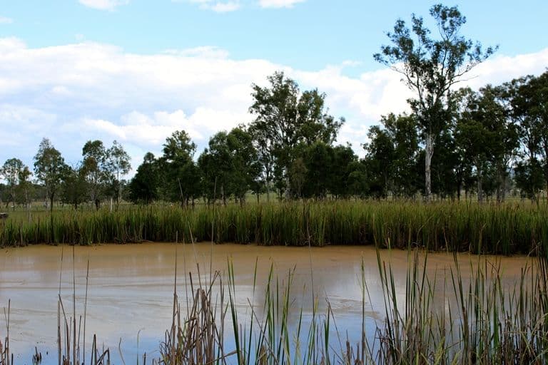Lot 5 Brisbane Valley Highway, TOOGOOLAWAH QLD 4313, Toogoolawah - Thumbnail 4