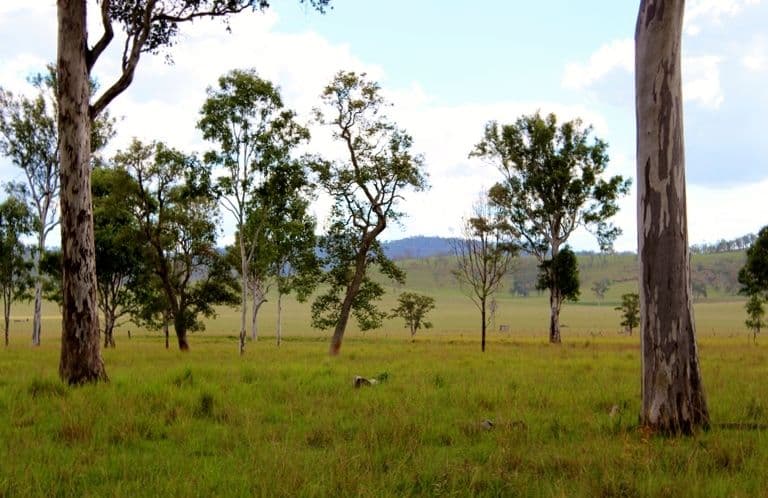 Lot 5 Brisbane Valley Highway, TOOGOOLAWAH QLD 4313, Toogoolawah - Thumbnail 5