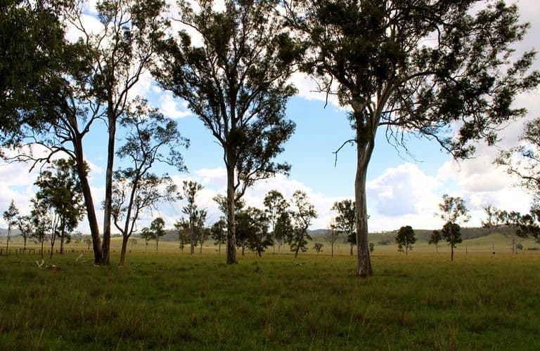 Lot 5 Brisbane Valley Highway, TOOGOOLAWAH QLD 4313, Toogoolawah - Thumbnail 8