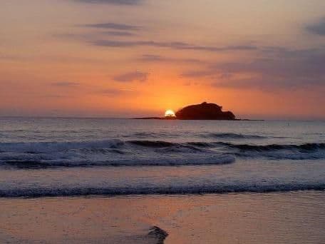 1 Bondi Court, MOUNT COOLUM QLD 4573, Mount Coolum - Thumbnail 6