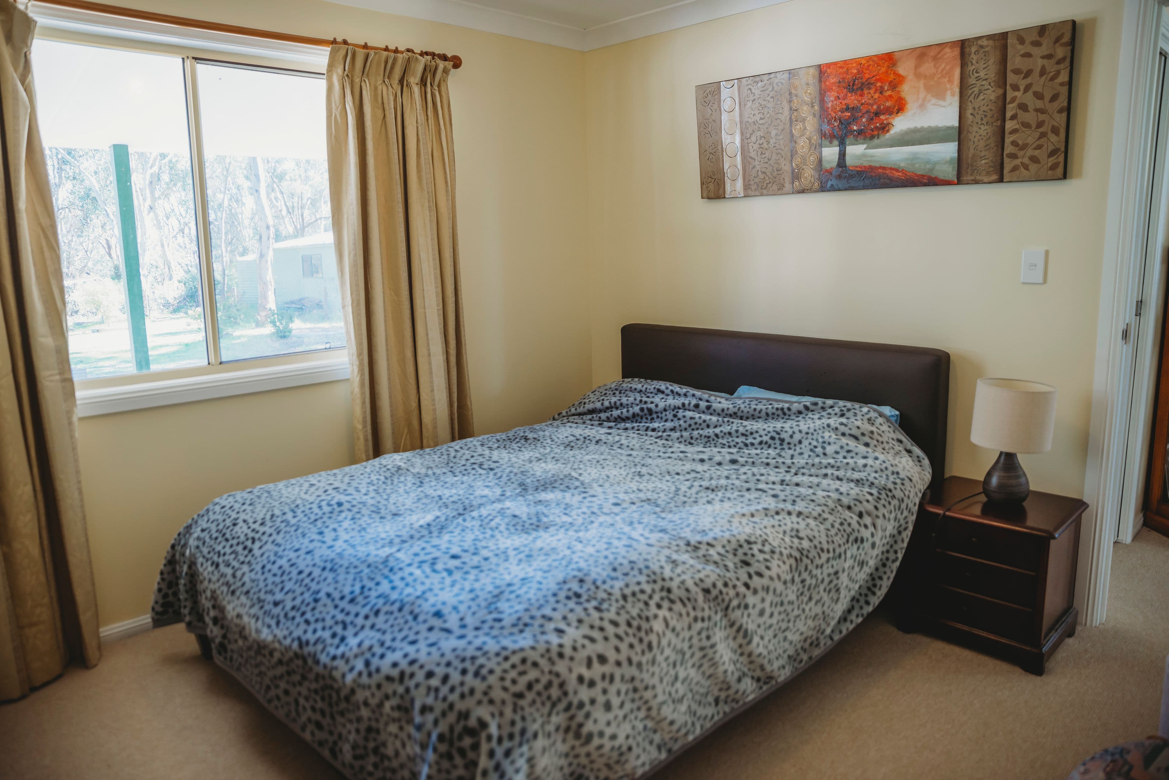 54 Peach Street, Mandurama - Thumbnail 8