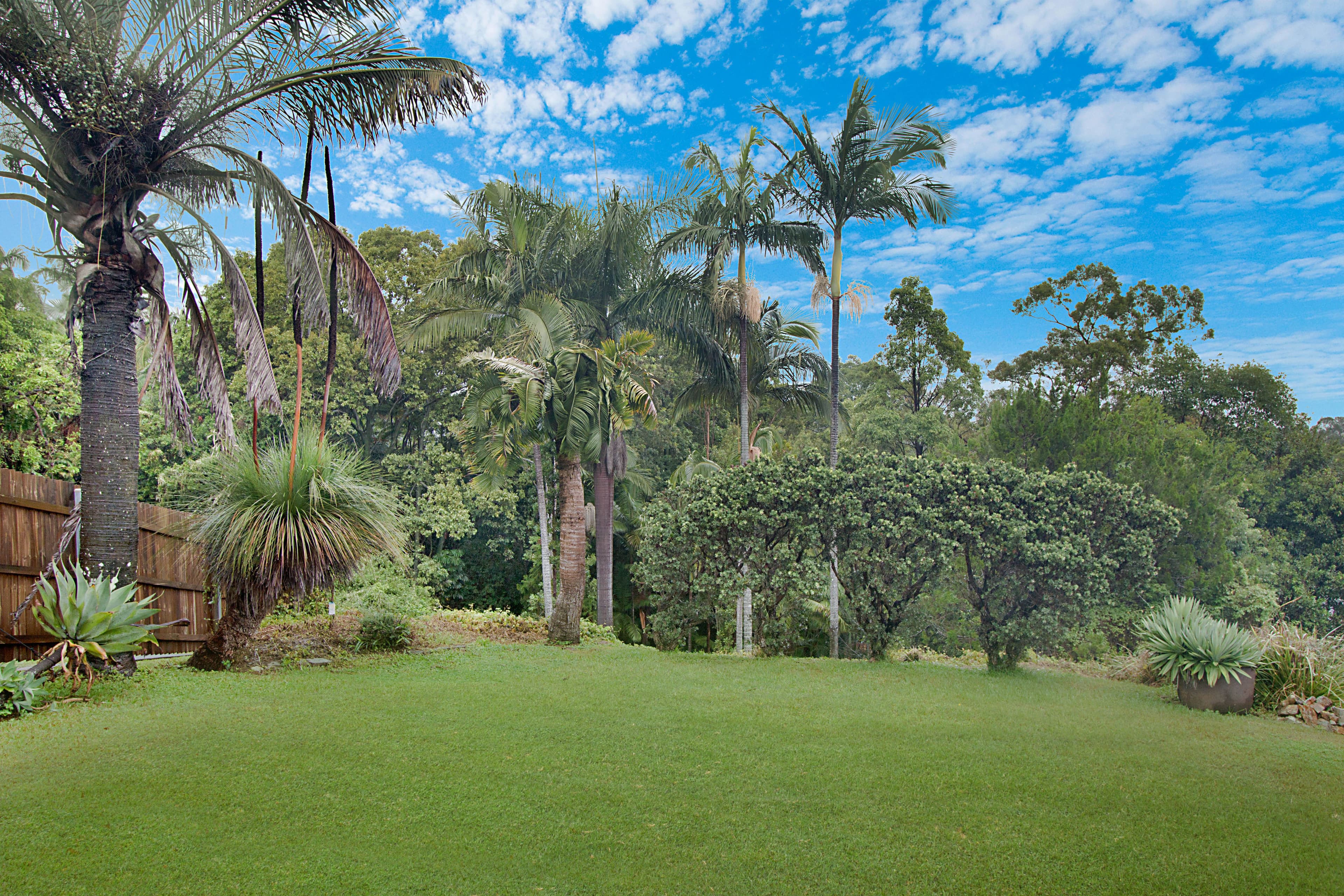 11 Scott Street, Murwillumbah NSW 2484, Murwillumbah - Thumbnail 8