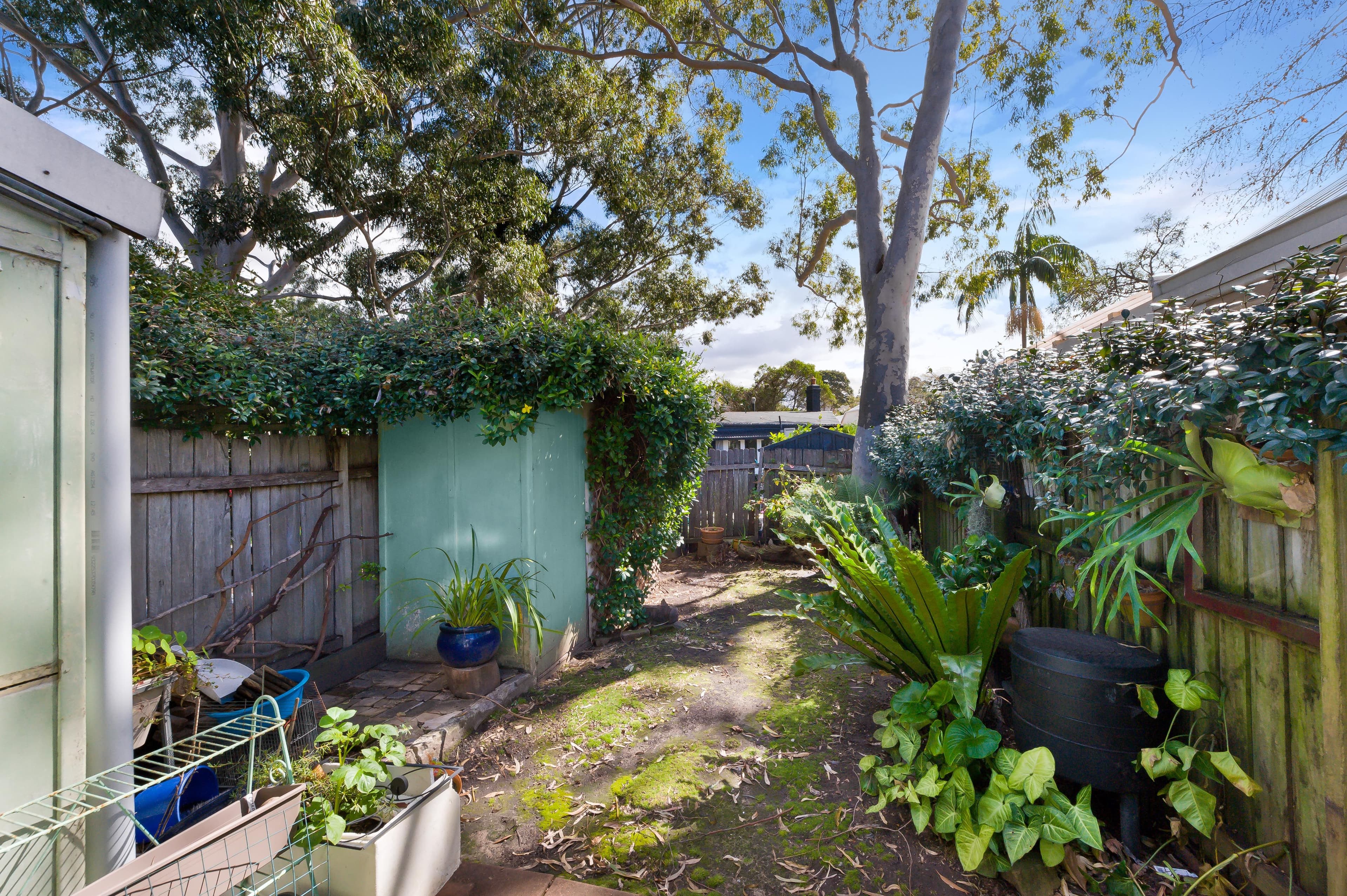 6 Ferris Street, Annandale - Thumbnail 7