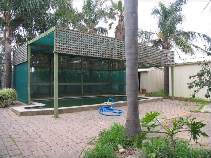 59 Johnstone Road, OAKLANDS PARK SA 5046, Oaklands Park - Thumbnail 7