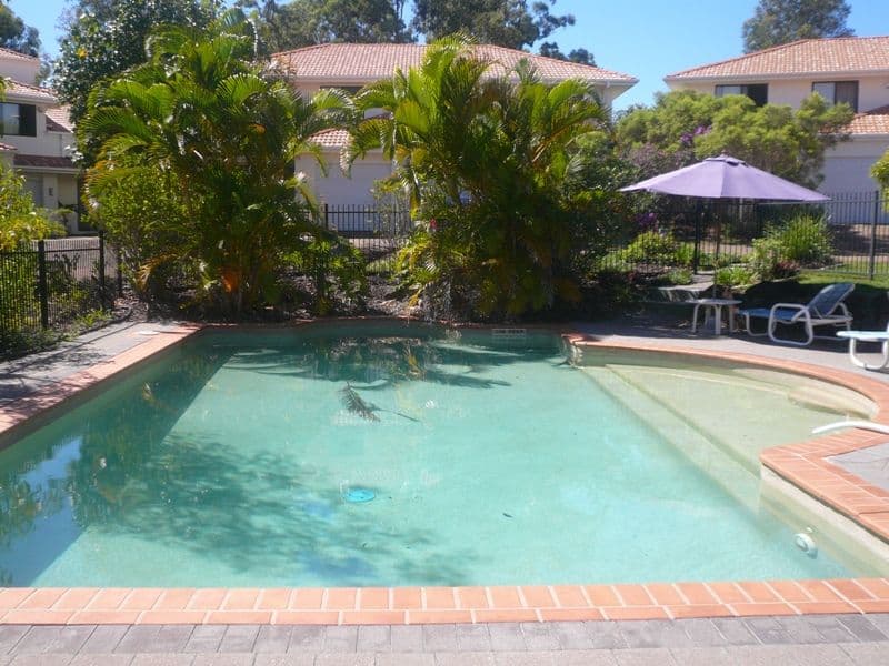 1 Gentian Drive, ARUNDEL QLD 4214, Arundel - Thumbnail 5