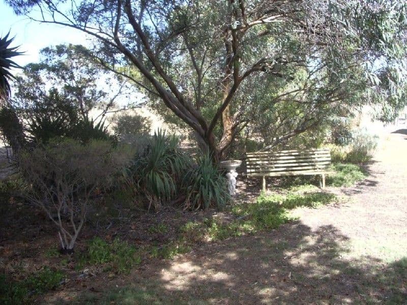 Lot 91 Cannawigara Road, BORDERTOWN SA 5268, Bordertown - Thumbnail 7