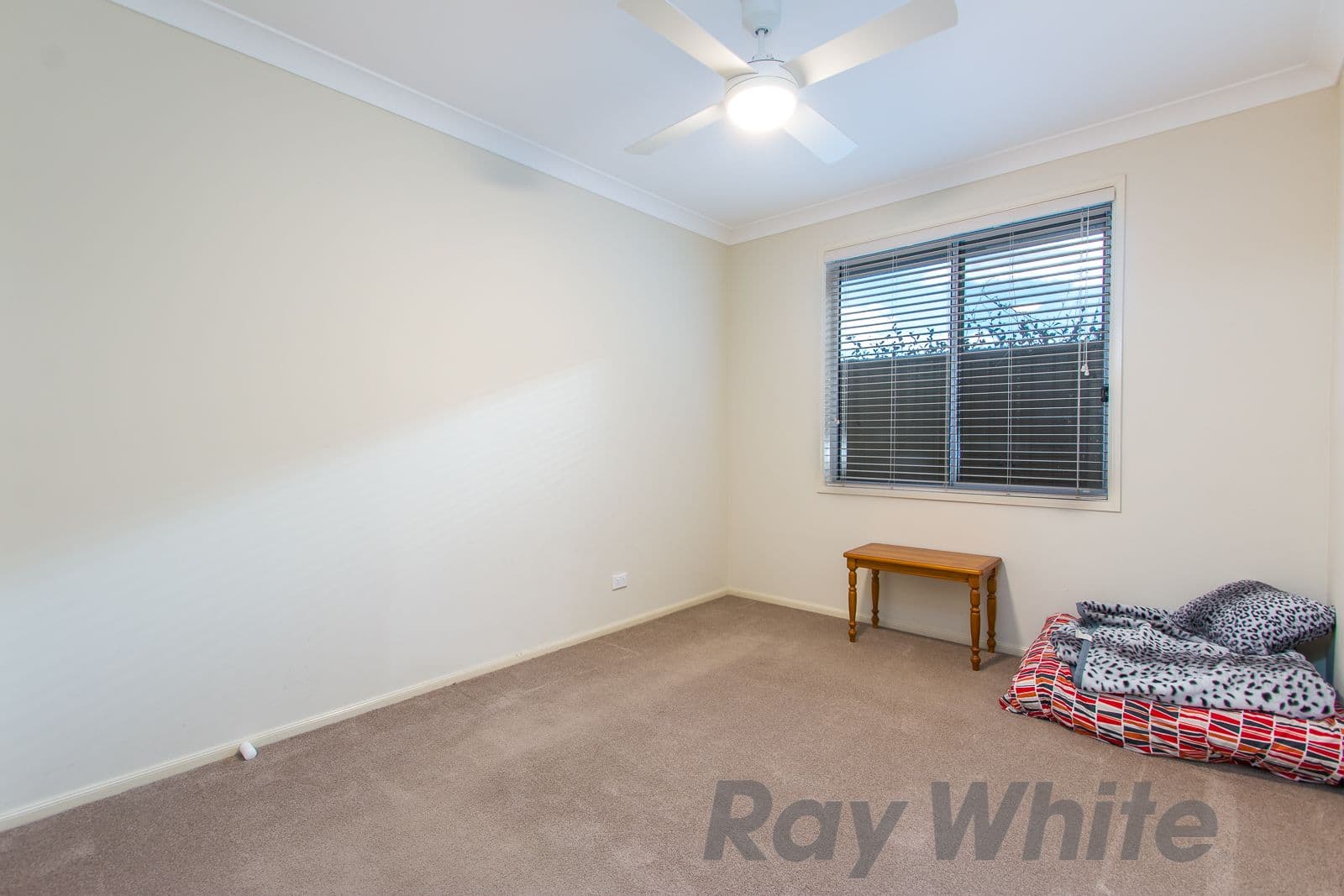 15 Selkirk Way PEREGIAN SPRINGS QLD, Peregian Springs - Thumbnail 7