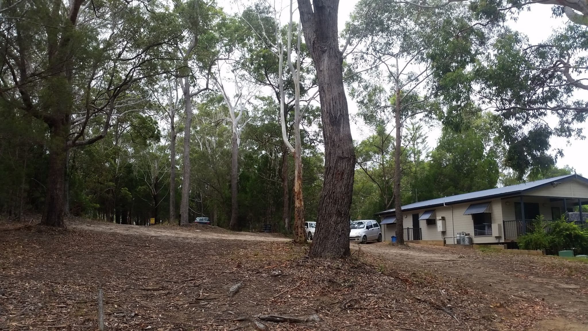 33 Bernborough Street, Russell Island QLD 4184, Russell Island - Thumbnail 3