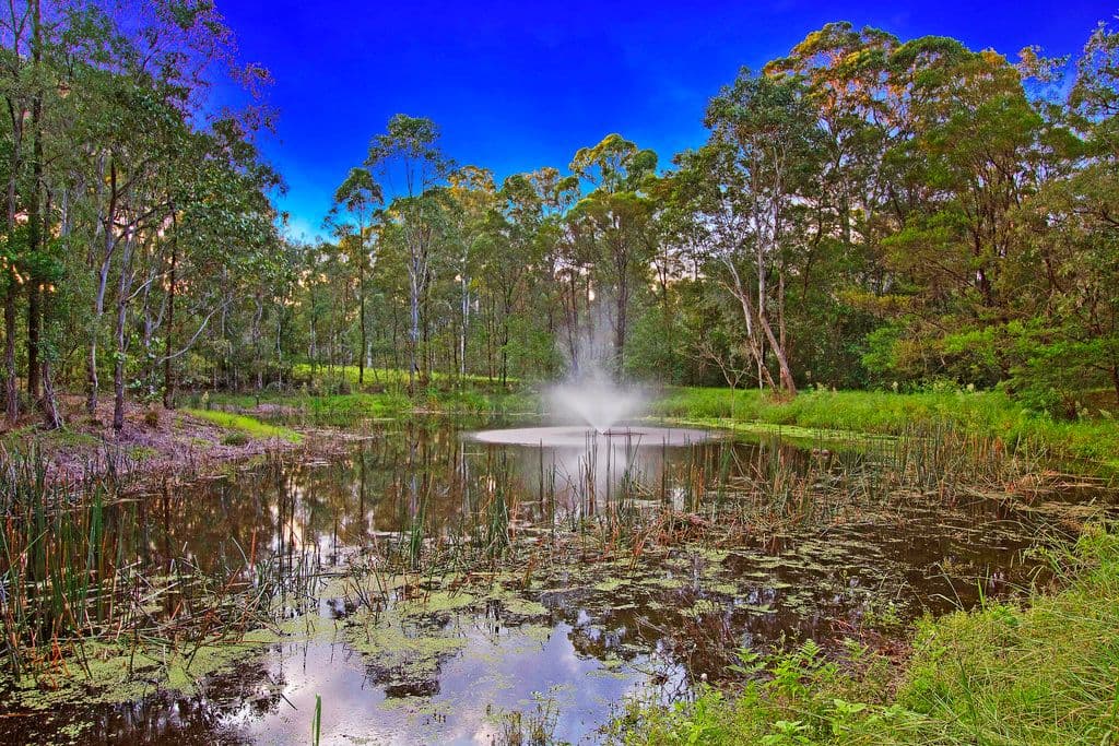 31 Tierney Road, Kurmond NSW 2757, Kurmond - Thumbnail 5
