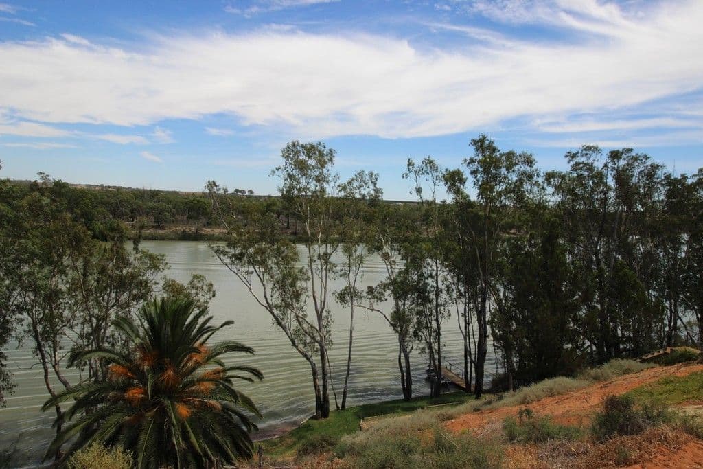 324 Ramco Road, Waikerie SA 5330, Waikerie - Thumbnail 7