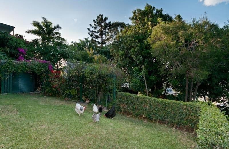 31 Penrose Street, Auchenflower QLD 4066, Auchenflower - Thumbnail 6