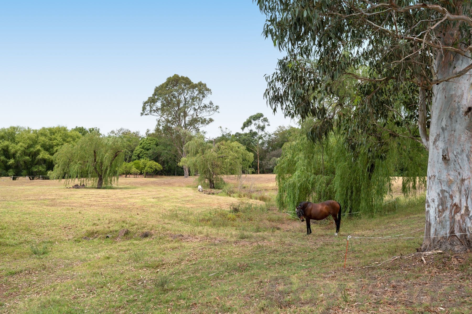 2-6 Laman Street, Stroud NSW 2425, Stroud - Thumbnail 4