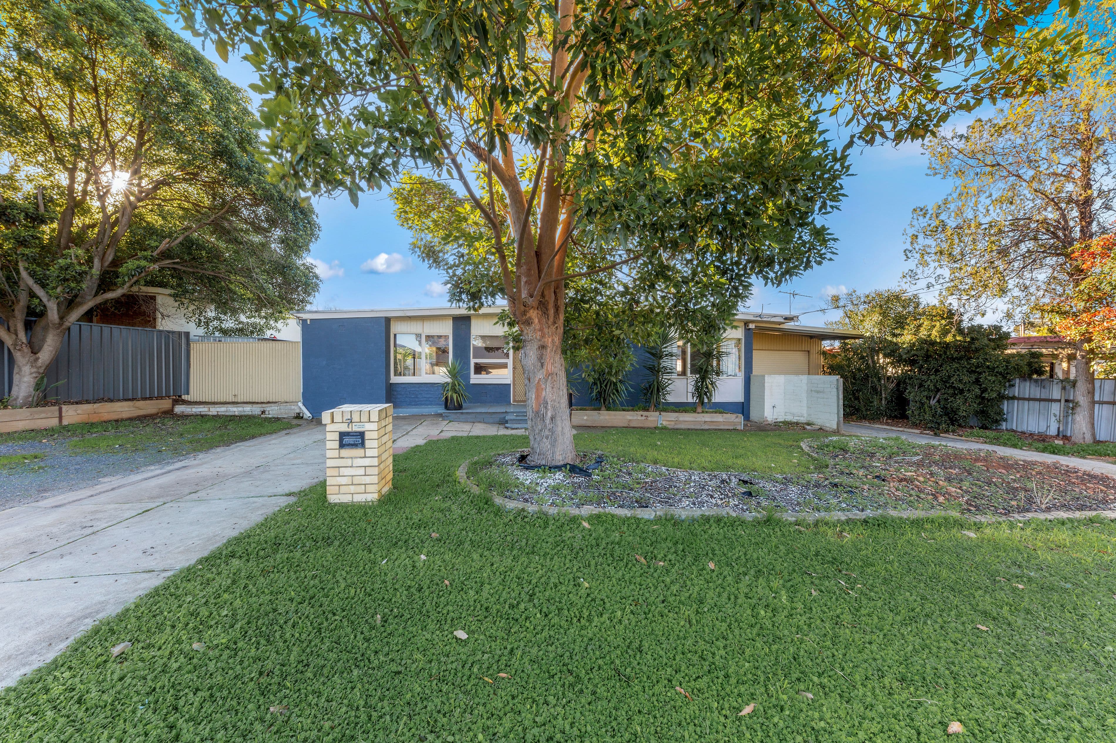 7 Melveen Street, Modbury SA 5092, Modbury - Thumbnail 3