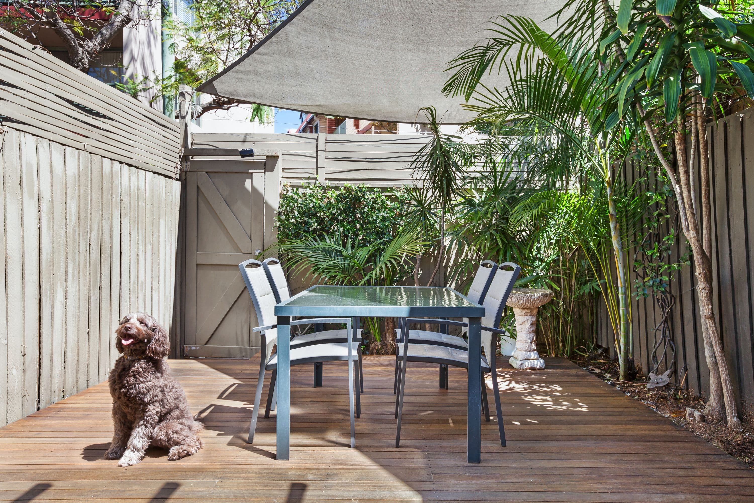 103 Arthur Street, Surry Hills - Thumbnail 5