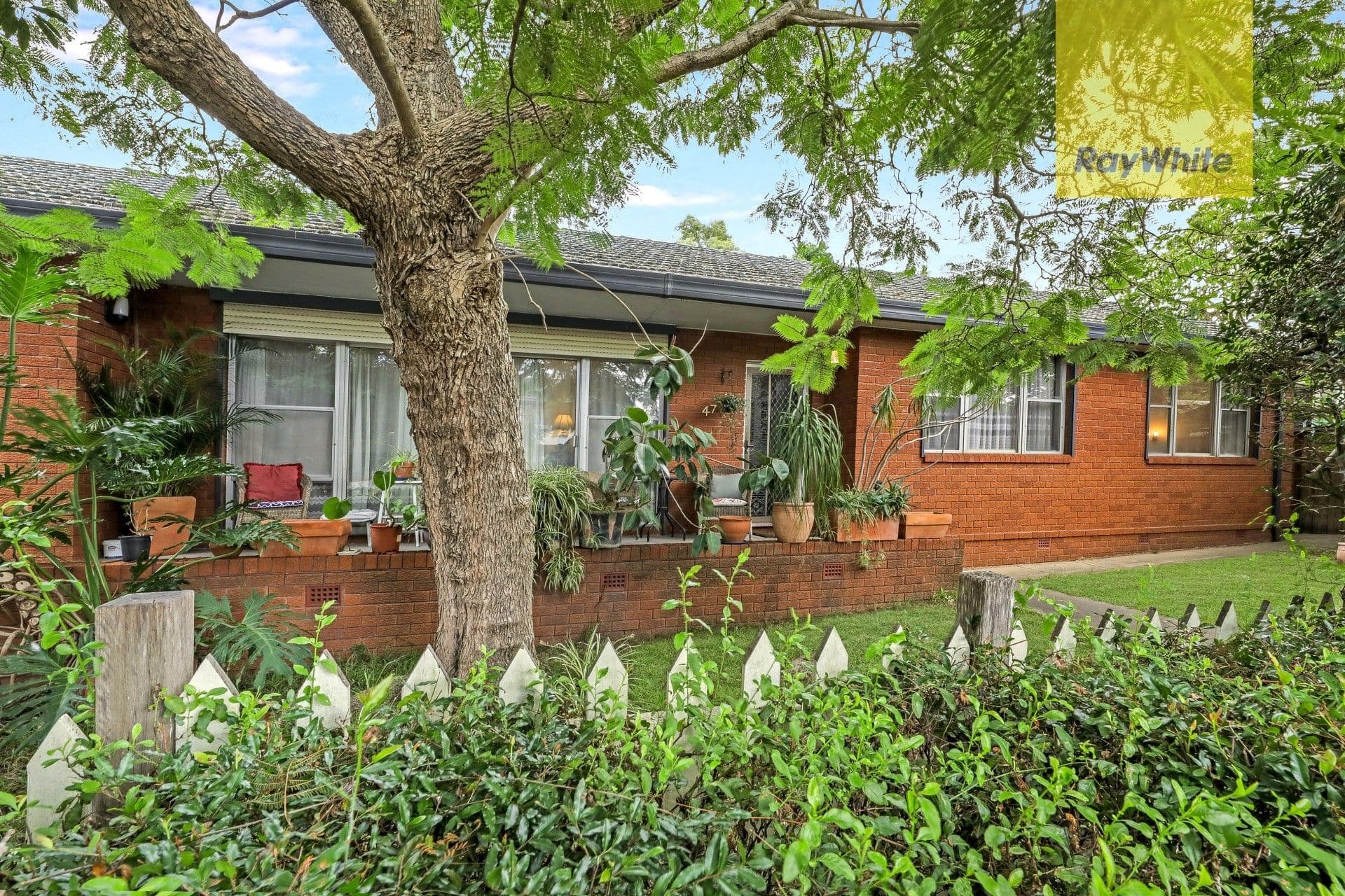 47 Albert Street, North Parramatta NSW 2151, North Parramatta - Thumbnail 3