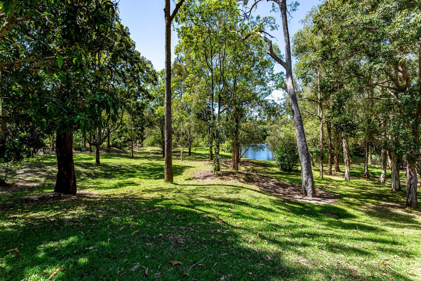 5 Saint Andrews Glade, Robina QLD 4226, Robina - Thumbnail 4