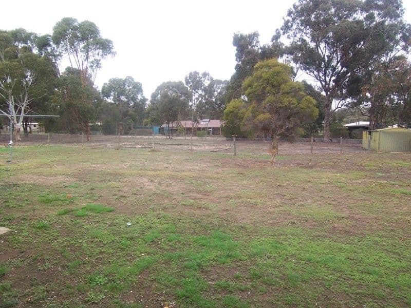 9 Forest Drive, EPSOM VIC 3551, Epsom - Thumbnail 3