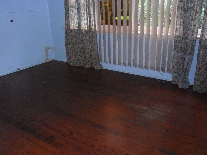 54 Patrick Street, HURSTVILLE NSW 2220, Hurstville - Thumbnail 5