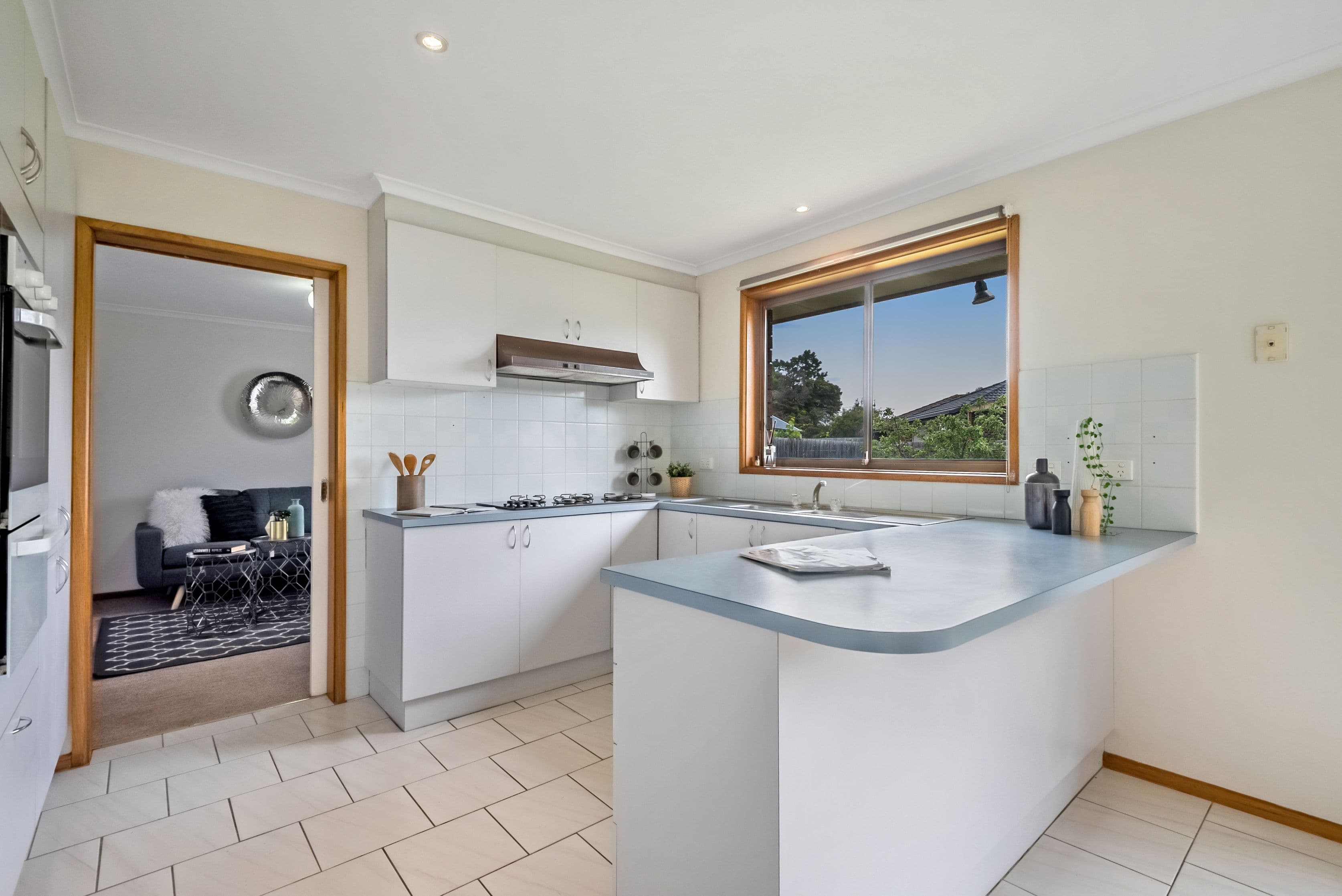 171 Roycroft Avenue, Mill Park VIC 3082, Mill Park - Thumbnail 5