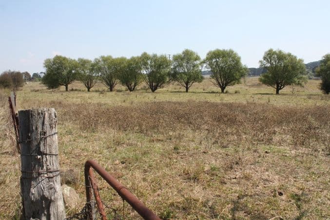 179 Bombay Road, BRAIDWOOD NSW 2622, Braidwood - Image 1