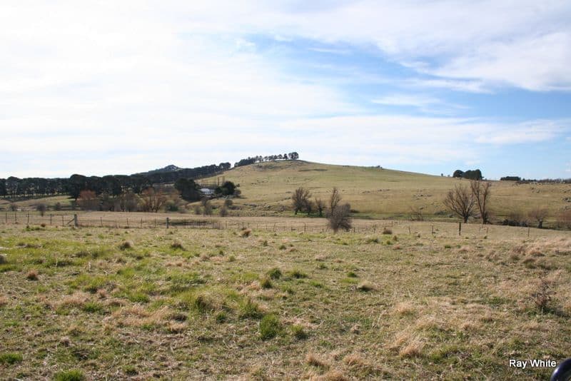 179 Bombay Road, BRAIDWOOD NSW 2622, Braidwood - Thumbnail 4