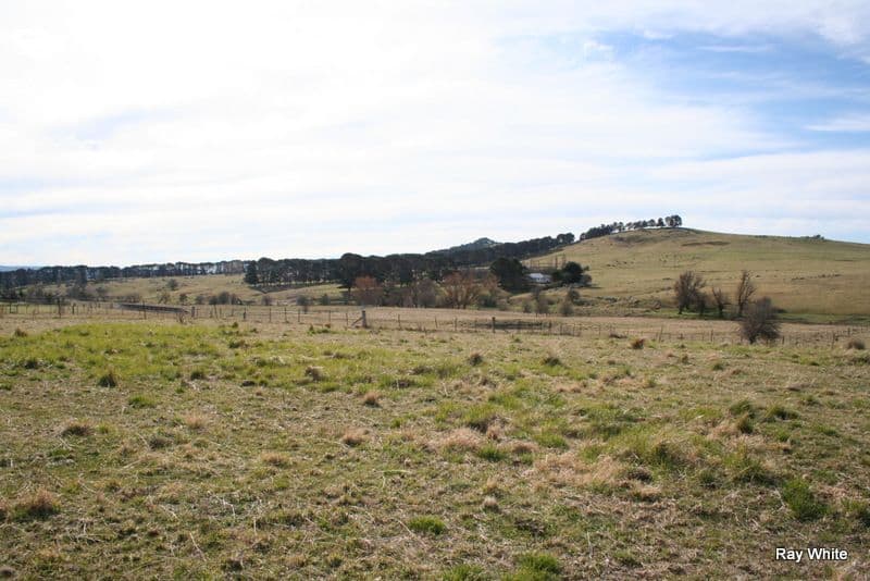 179 Bombay Road, BRAIDWOOD NSW 2622, Braidwood - Thumbnail 5