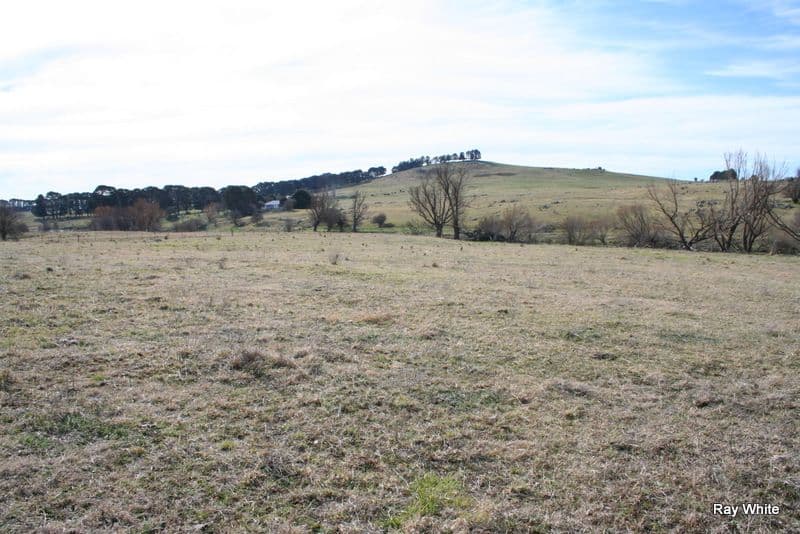 179 Bombay Road, BRAIDWOOD NSW 2622, Braidwood - Thumbnail 7