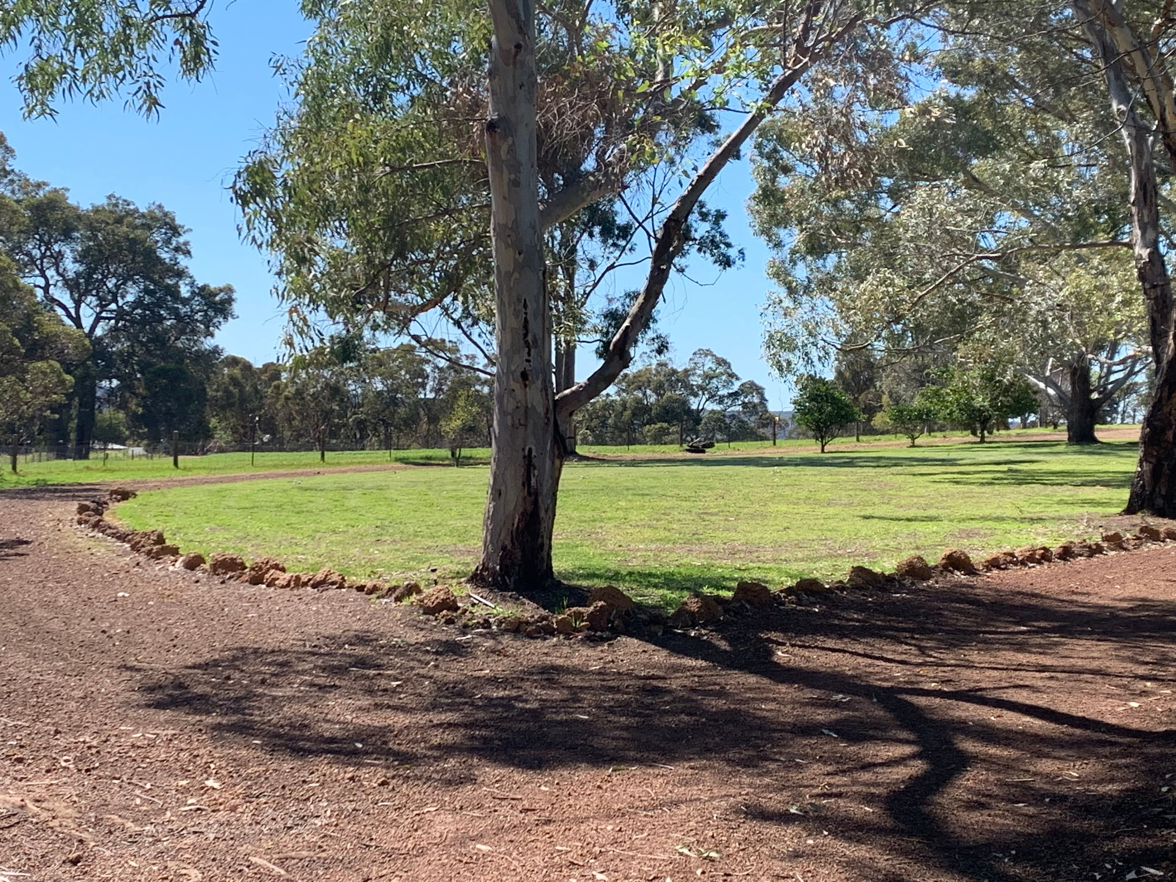 123 Ridgewood Loop, Bullsbrook WA 6084, Bullsbrook - Thumbnail 7