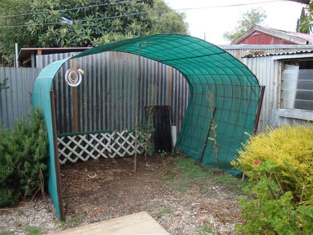 10 Christchurch Road, KAPUNDA SA 5373, Kapunda - Thumbnail 7