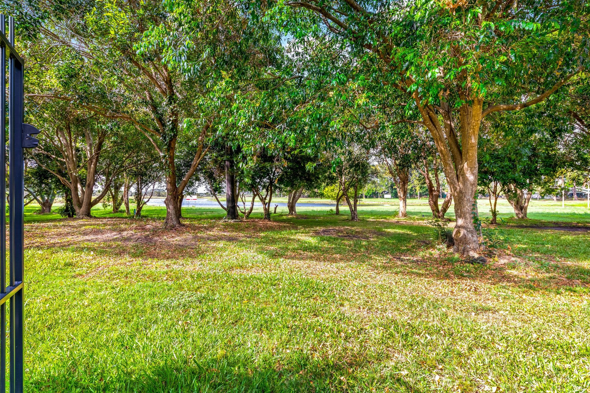 43 Dalton Drive, Maroochydore QLD 4558, Maroochydore - Thumbnail 6